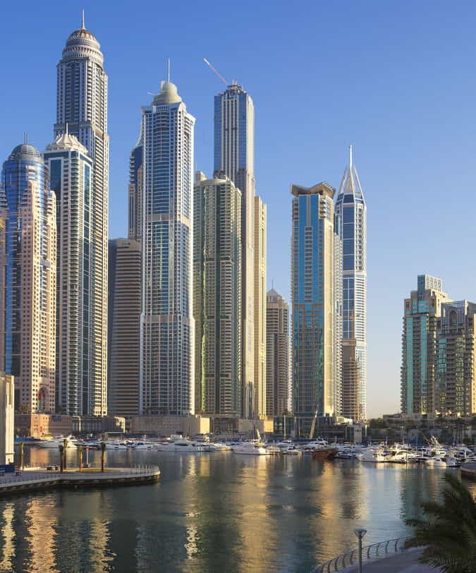 dubai service - contact us